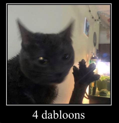 4 dabloons meme|the 4 dabloons cat meme.